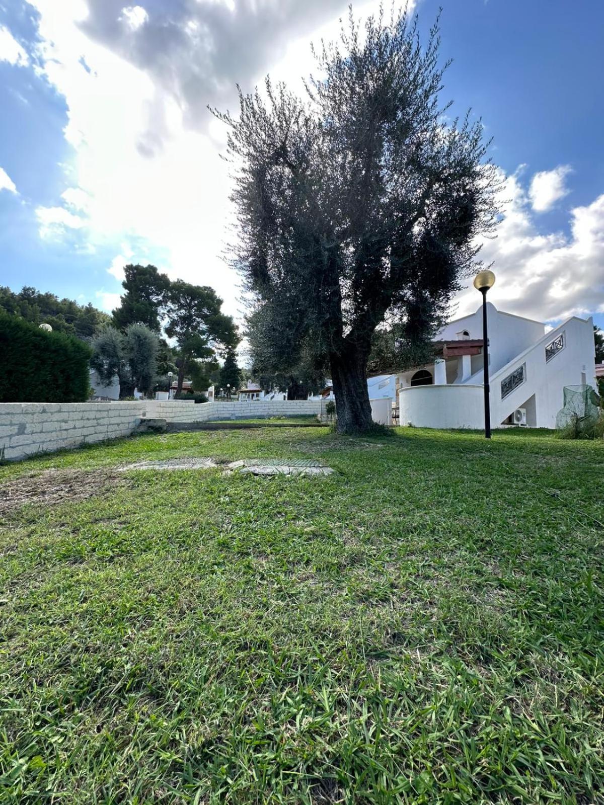Villetta Roberto Le Macine Di Charme - Pugnochiuso Resort Vieste Kültér fotó